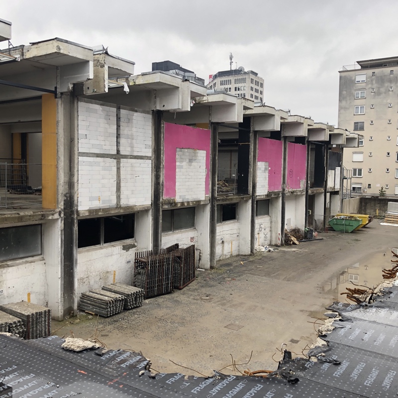 Stara Tiskarna Tolstojeva, Ljubljana ekolj